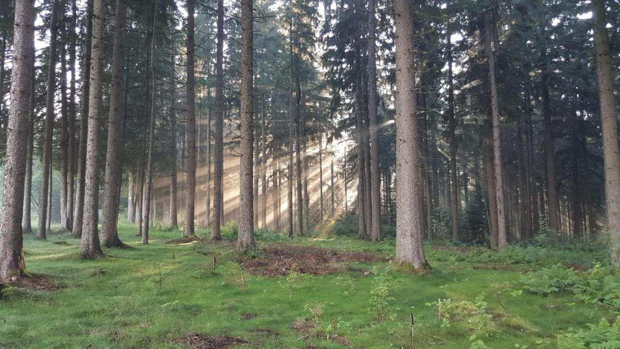 Schwarzwald Geht Immer Fewo 60 Qm Mit Grossem Suedbalkon, Wlan Und Magenta Tv Schönwalde Exteriér fotografie
