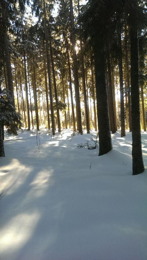 Schwarzwald Geht Immer Fewo 60 Qm Mit Grossem Suedbalkon, Wlan Und Magenta Tv Schönwalde Exteriér fotografie